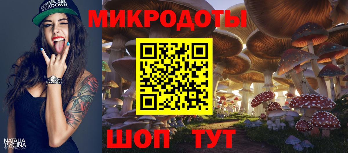 Галлюциногенные грибы Psilocybine cubensis Краснотурьинск