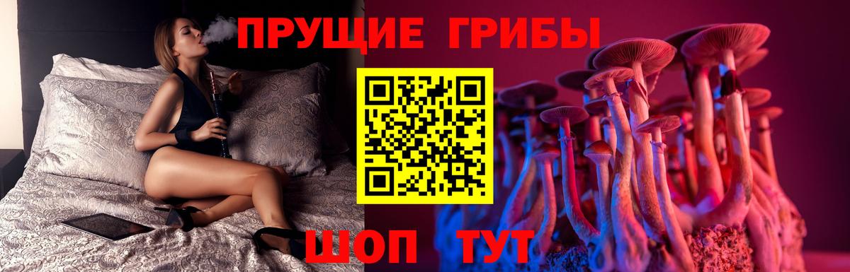 Галлюциногенные грибы Psilocybe  Вход с VPN  Краснотурьинск 